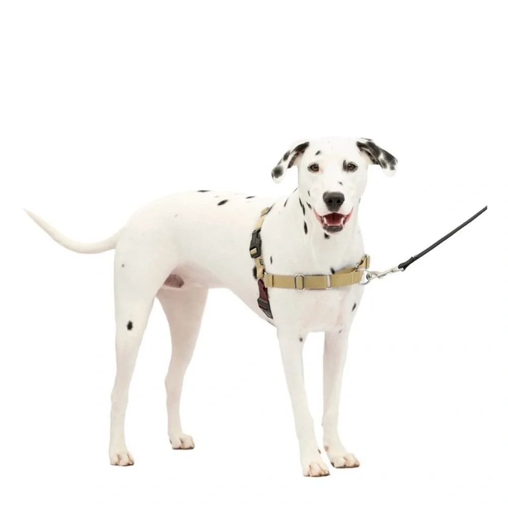 Easy Walk Brown and Tan Adjustable Pet Harness